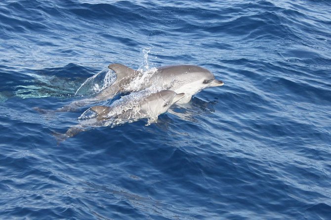 2.5-hour Lanzarote Sunset Cruise from Marina Puerto del Carmen - Who This Cruise Suits (and Who Should Rethink It)