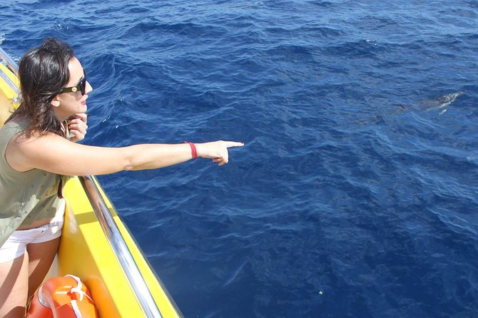 2.5-hour Lanzarote Sunset Cruise from Marina Puerto del Carmen - Should You Book This Lanzarote Sunset Cruise?