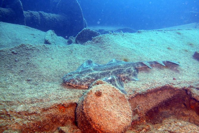 2 Dive Package for PADI Qualified Divers in Gran Canaria - Gear, Paperwork, and the Safety Check You’ll Actually Feel