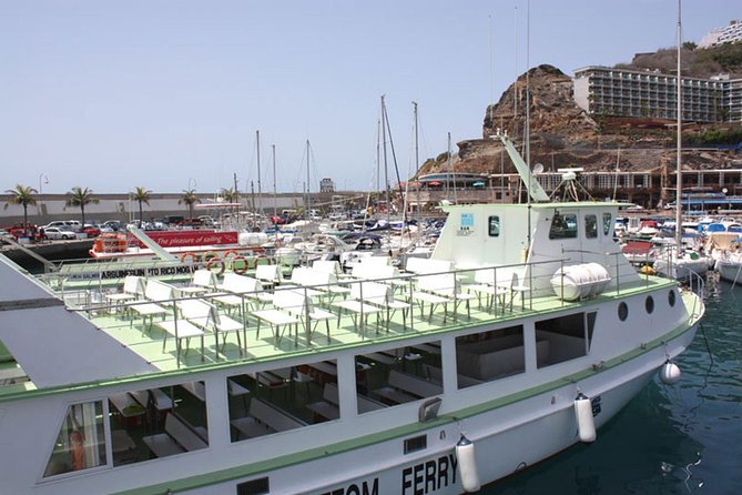 2-Hour Dolphin and Whale Watching in Gran Canaria - What you’re looking for in the Atlantic (and why sightings vary)