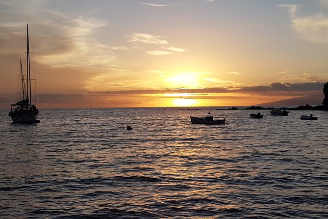 2 hour trip to see whales dolphins puerto colon adeje - From Puerto Colón to open water in about two hours