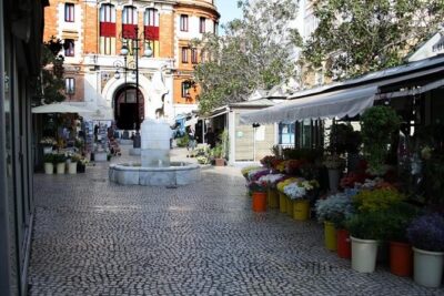 2 Hours Tour around Cádiz: History, anecdotes and curiosities - Starting at Cádiz Town Hall: the city’s origin story begins in the square