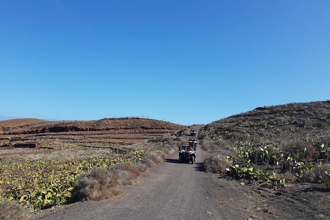 2h Buggy Tour guided by the north of Lanzarote - Stop 1: Montaña Tinamala, Guatiza, and the old quarry