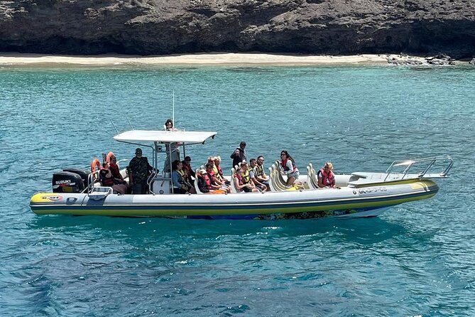 2h Dolphin and Whale Viewing + Snorkeling Tour - Speedboat First: How the 2-Hour Tour Works Off Morro Jable