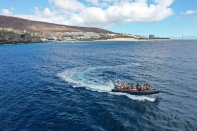 2h Dolphin and Whale Viewing + Snorkeling Tour - Where You’ll Meet (and Why Pickup Matters in Jandia)