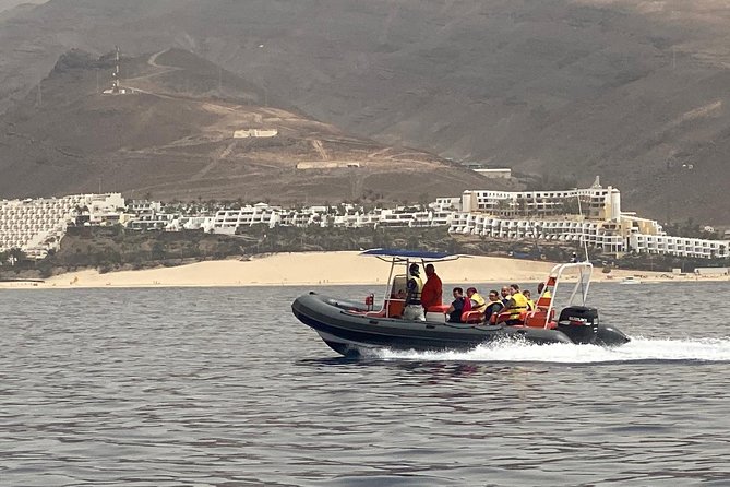 2h Dolphin and Whale Viewing + Snorkeling Tour - Crew Energy: Why People Keep Mentioning the Guides