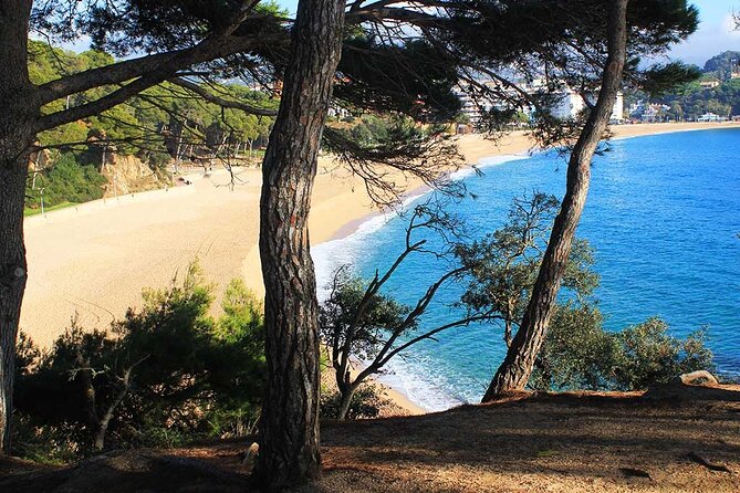 2h Guided Kayak Tour on the Costa Brava - Narrow rocky passages: your technique lessons, delivered naturally