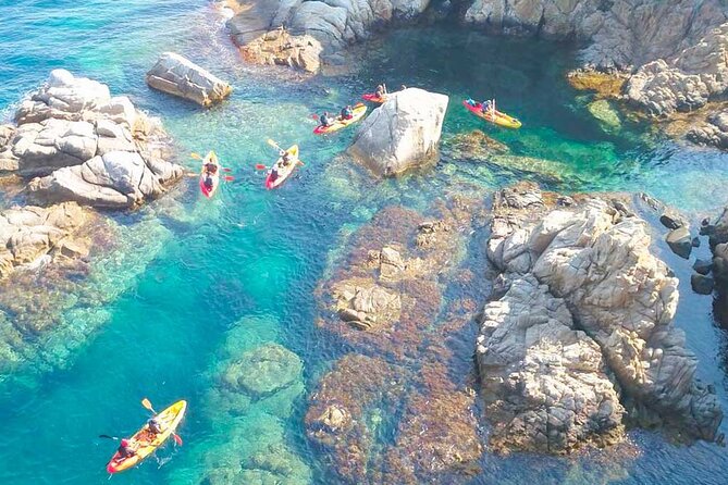 2h Guided Kayak Tour on the Costa Brava - Swim time in crystal-clear water: why it’s the highlight