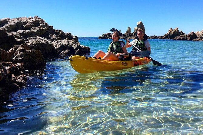 2h Guided Kayak Tour on the Costa Brava - Marine life spotting: what the guides actually do for you