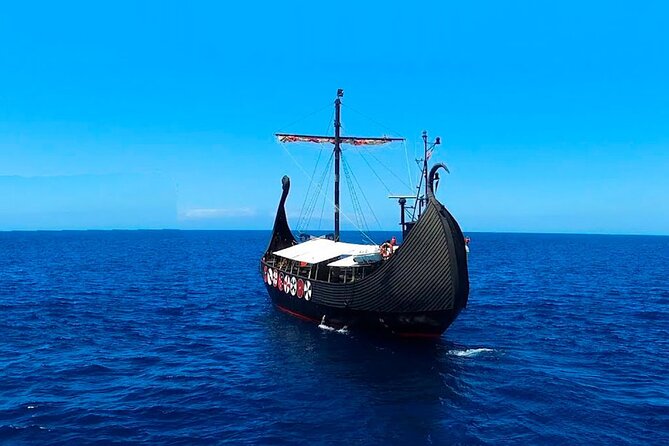 2h Viking Cruise Whales & Dolphins Watching - What’s Included, What’s Not, and What That Means for You