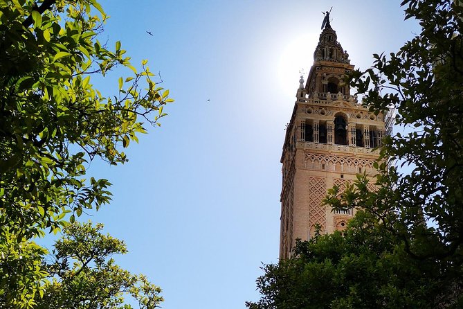 2h30 Private Walking Tour of Seville with Local Guide - Barrio Santa Cruz and City Hall: Getting the Neighborhood Feel