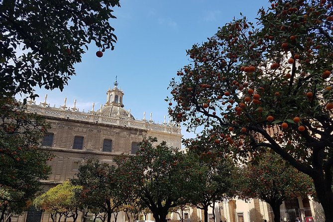 2h30 Private Walking Tour of Seville with Local Guide - Your Route Through Seville’s Big Three: Cathedral, Royal Alcázar, and Old Town