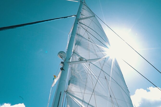 2hrs Dolphins Sunset Sailing Cruise With Drink - Key Highlights to Know Before You Go