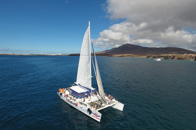 2hrs Dolphins Sunset Sailing Cruise With Drink - Food and Drink on Board: What You Should Expect to See Served