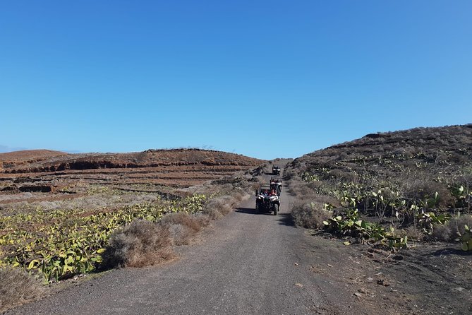 3-hour Buggy Tour from Costa Teguise - Buggies, guides, and group size: small team feel, big safety focus