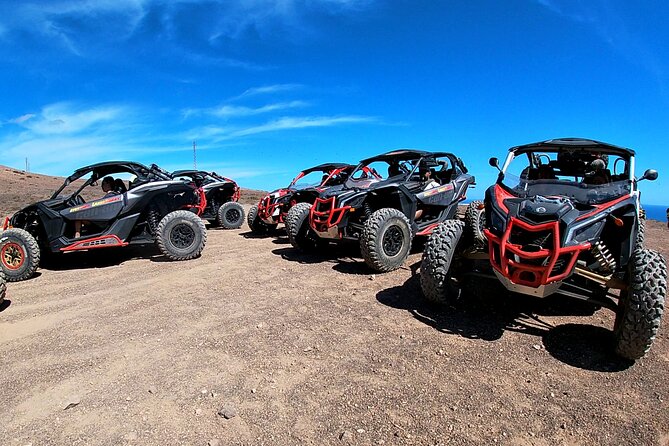 3 Hour Guided Buggy Tour Around the Island of Lanzarote - La Geria Wine Cellars Near Timanfaya: More Than a Scenic Drive