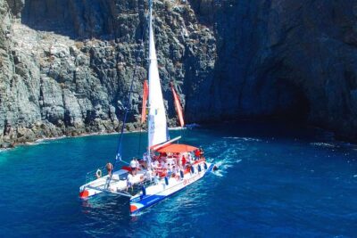 3-hour Whale and Dolphin Watching and Listening Tour - Key highlights you’ll feel immediately