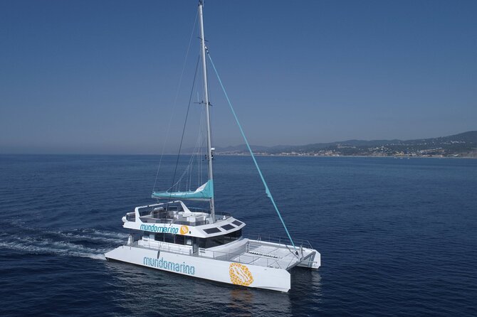 3-Hours Catamaran Tour in Malaga with Paella - Drinks and the bar rule: plan around what’s not included