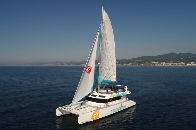 3-Hours Catamaran Tour in Malaga with Paella - Price and value: when this $54.06 works