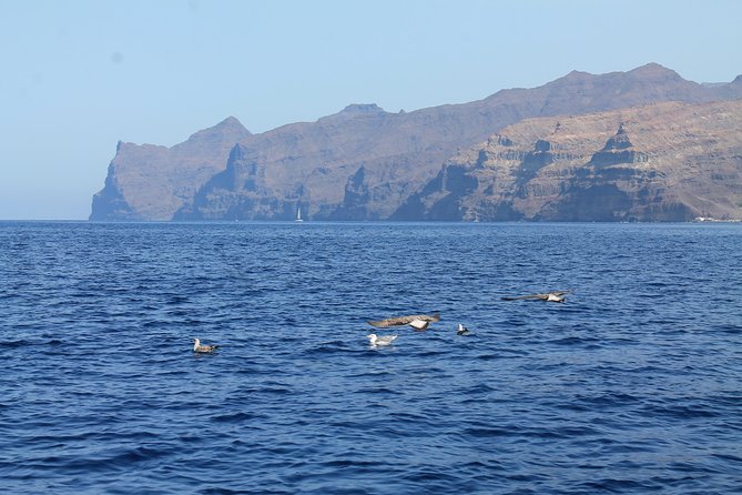 3h Boat Trip + Snorkeling in Puerto de Mogan - Photos, Drone Footage, and What You Actually Bring Home