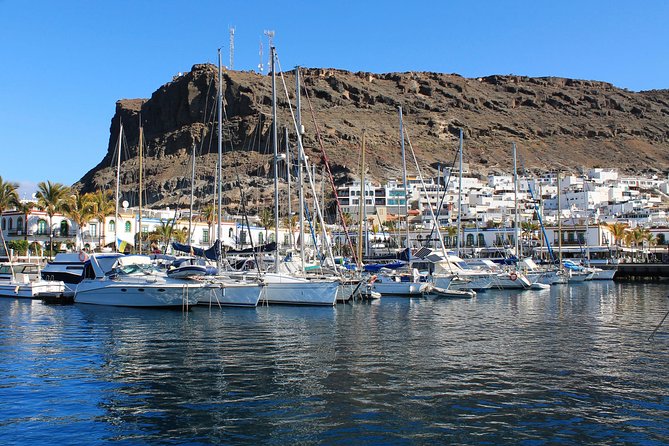 3h Boat Trip + Snorkeling in Puerto de Mogan - Who This Excursion Is Best For (and Who Should Think Twice)