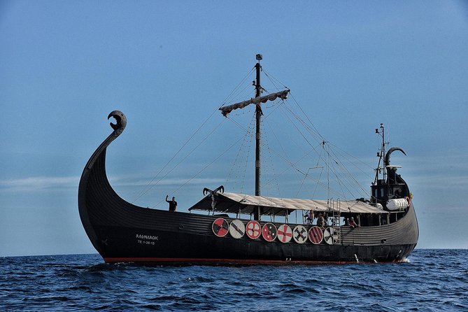 3h Viking Cruise with Drinks, Whales watching & Swimming Time - Weather, Sea State, and Motion: The Main Real-World Consideration