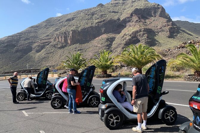 4 Hours Eco Safari Tour with Electric Car in Tenerife - Meet the Twizy: easy electric driving and real mountain fun