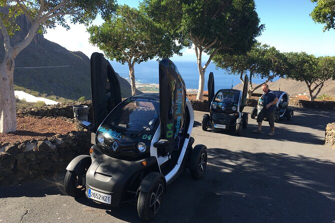 4 Hours Eco Safari Tour with Electric Car in Tenerife - Stop 4: Puerto de Santiago banana plantation walk
