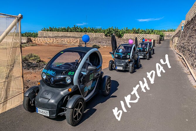 4 Hours Eco Safari Tour with Electric Car in Tenerife - The hidden win: Dani’s history stories that connect the dots