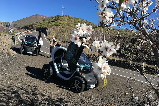 4 Hours Eco Safari Tour with Electric Car in Tenerife - Price and value: what you’re really paying for