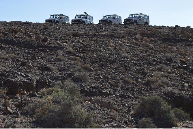 4x4 Jeep Safari Tour in Cofete Beach - Your guide: names you might get, and what to check
