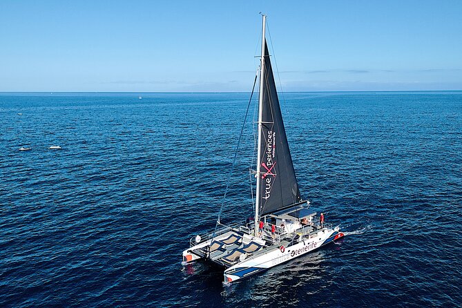 5 hr watching and listening whales and dolps. Visit Los Gigantes - Catamaran Whale Watching on Tenerife: What This Trip Delivers