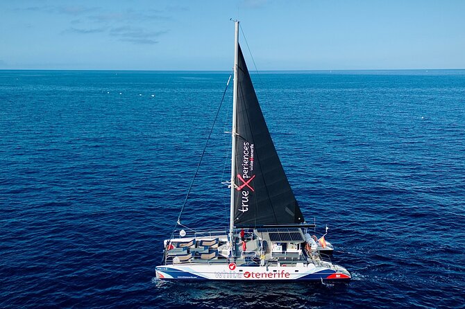 5 hr watching and listening whales and dolps. Visit Los Gigantes - Los Gigantes Cliffs: The Big View Stop You Will Actually Remember