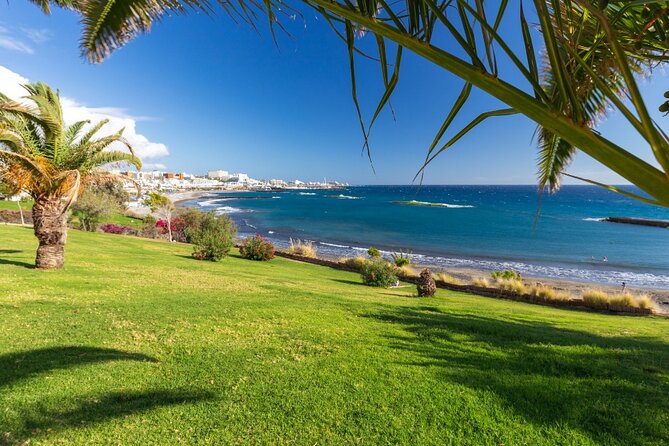 6 Hrs Private Tour In Tenerife - How this private 6-hour Tenerife day really works