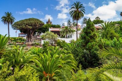 6 Hrs Private Tour In Tenerife - Santa Cruz first: Auditorium, parish church tower, Palmetum