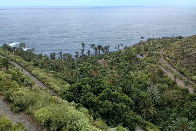 6hrs Private Tour in North Coast of Tenerife - San Juan de la Rambla’s Historic Center and La Laja Natural Pool