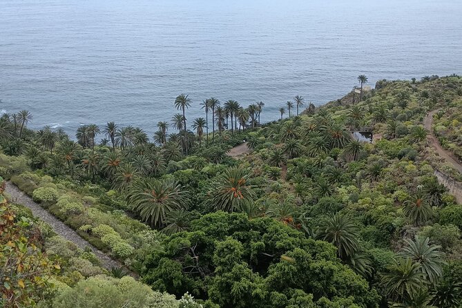 6hrs Private Tour in North Coast of Tenerife - Charco del Viento: The Lava-Armed Natural Bay
