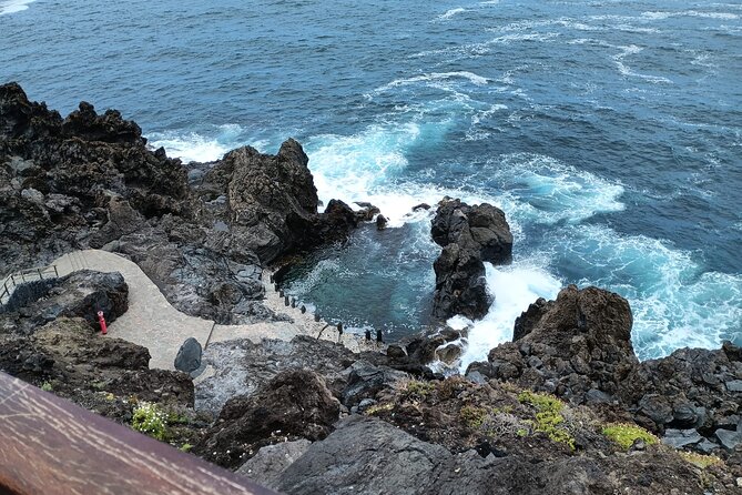 6hrs Private Tour in North Coast of Tenerife - Price and Logistics: What $118.56 Buys You