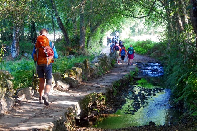 7-Day Tour of the French Way of Santiago from Sarria - Key points at a glance