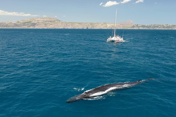 A day at sea from Dénia or Jávea with Barbecue aboard the Catamaran - Comfort and Capacity: Bow Nets, Seating, and Crowd Reality