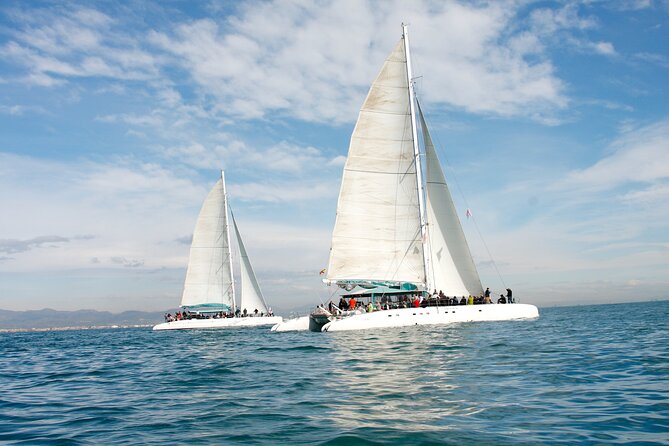 A day at sea from Dénia or Jávea with Barbecue aboard the Catamaran - Who This Works Best For (and Who Might Skip It)