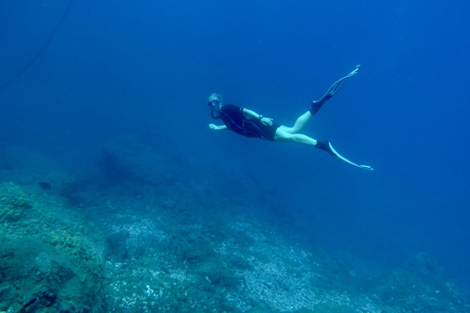 Abades: Guided Snorkeling Tour with Photos - Key things I’d zero in on before you book