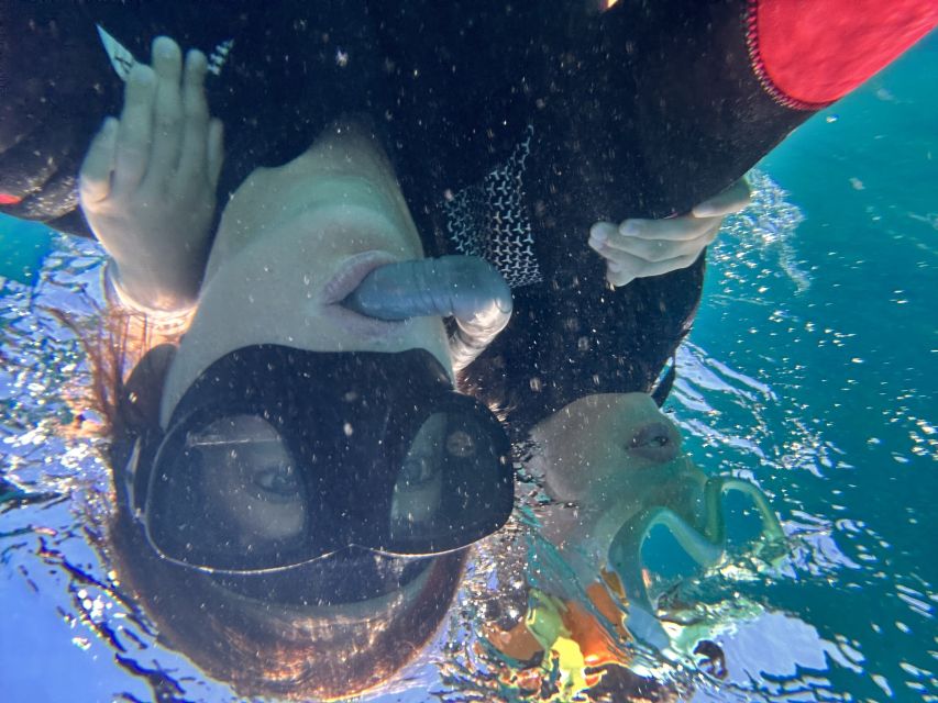 Abades: Guided Snorkeling Tour with Photos - Price and value: $35 for 2 hours, gear, and a memory pack