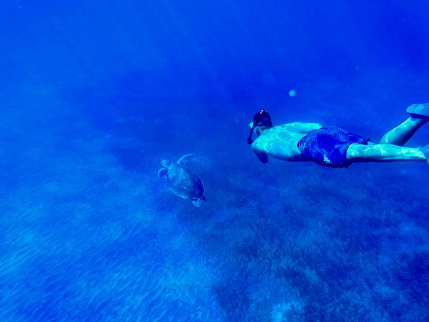 Abades: Guided Snorkeling Tour with Photos - Heading to Playa Abades: where the tour starts and why it matters