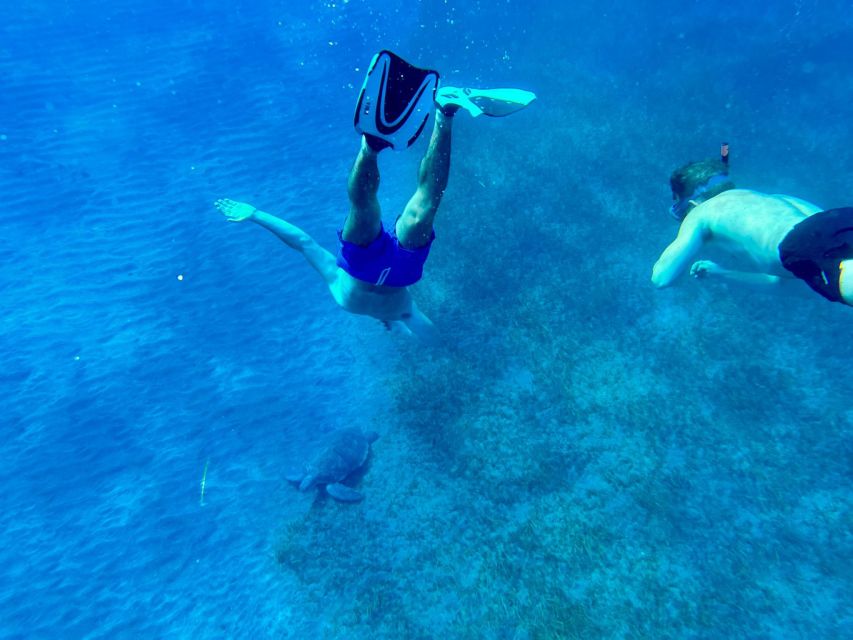 Abades: Guided Snorkeling Tour with Photos - Safety for nervous swimmers: what makes this tour feel secure