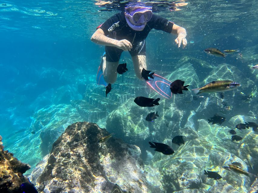 Abades: Guided Snorkeling Tour with Photos - Underwater photos and videos: why this inclusion feels like good value