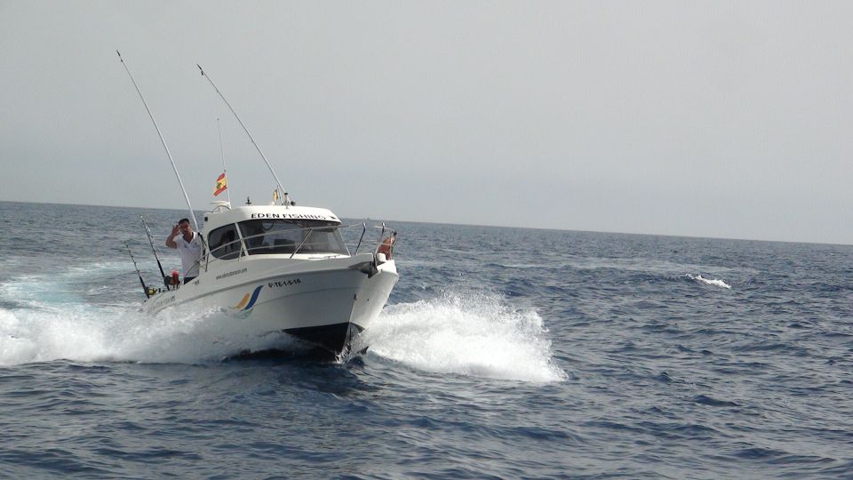 Adeje: 3.5–Hour Professional Fishing Experience - From Puerto Colón (Gate 3) to open ocean: what the start feels like