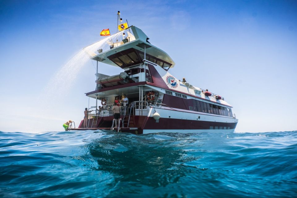 Adeje: Whale and Dolphin Watching Cruise with Lunch and Swim - The Diego Hernandez Bay option: 3 hours of swim, lunch, and whale-and-dolphin time