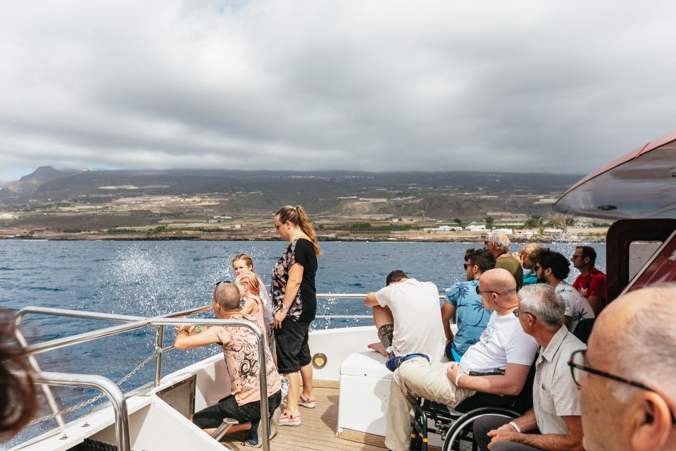 Adeje: Whale and Dolphin Watching Cruise with Lunch and Swim - Lunch and drinks at sea: what to expect and how to plan for it