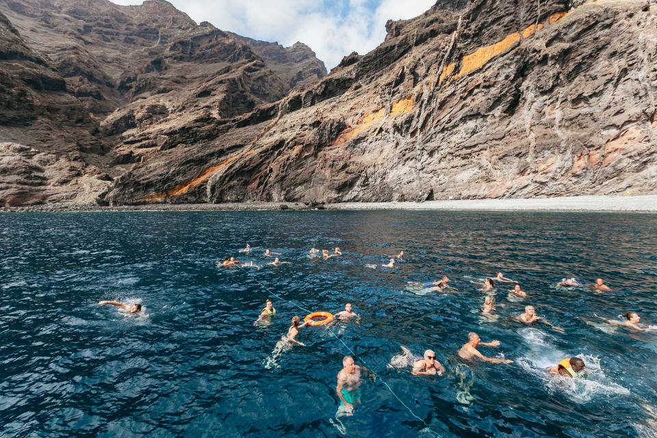 Adeje: Whale and Dolphin Watching Cruise with Lunch and Swim - Comfort, motion, and where to stand or sit